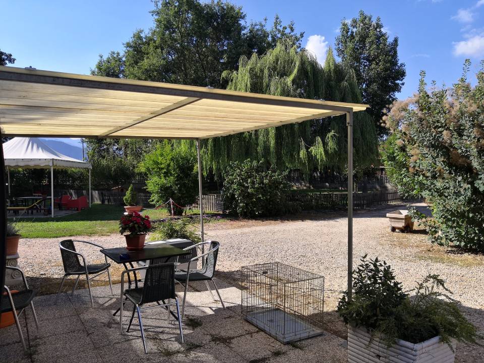 area verde di una pensione per cani con copertura