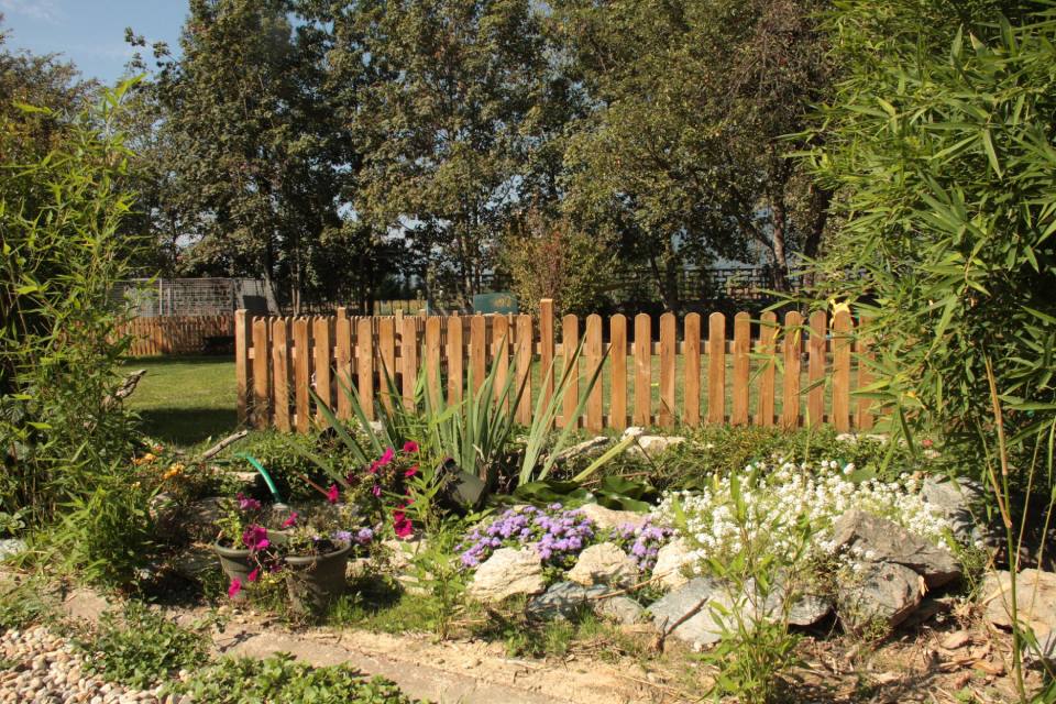 area verde con fiori e staccionata in legno