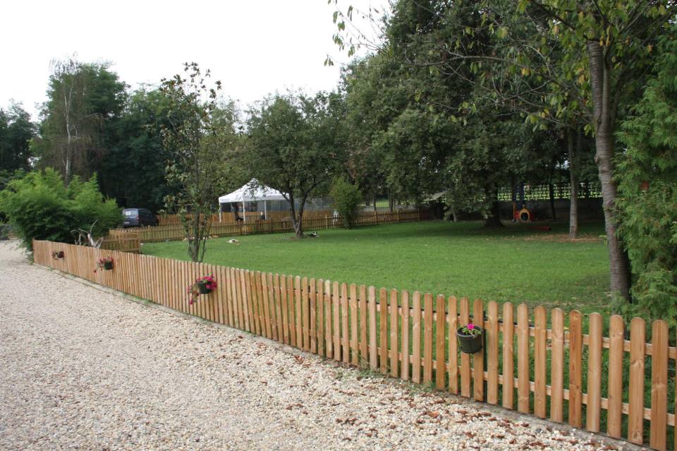 prato con alberi in una pensione per cani