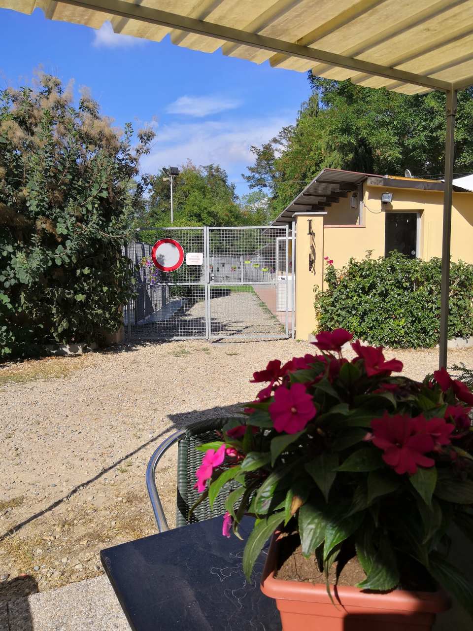 pensione per cani all'aperto con cancello