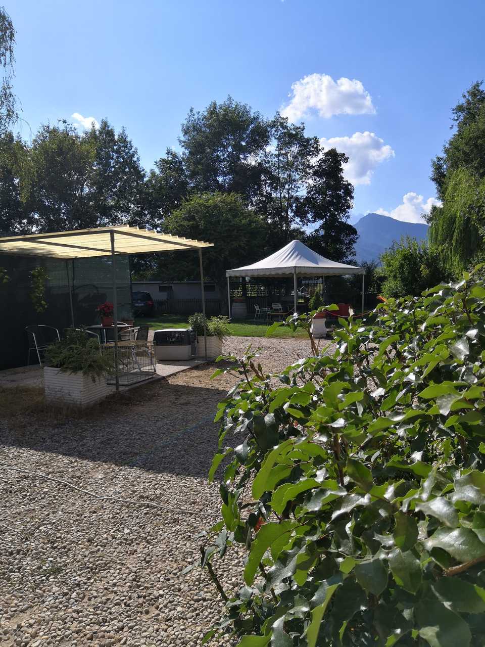 spazi all'aperto di pensione per cani