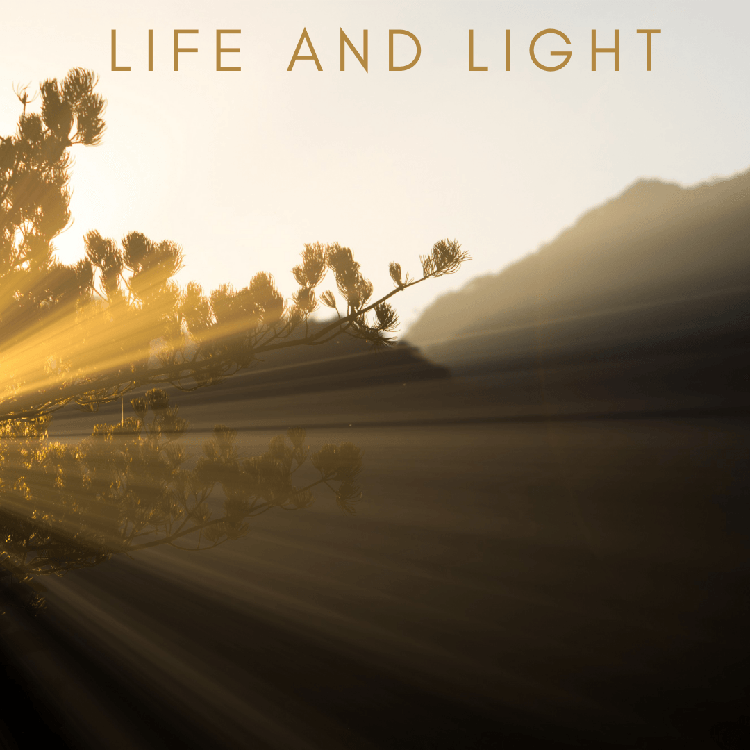 light in our life