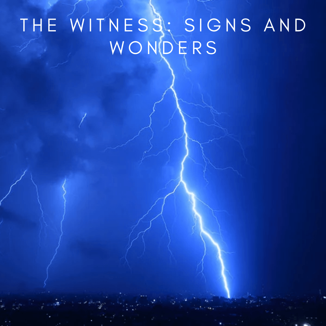 The Witness: Signs and Wonders