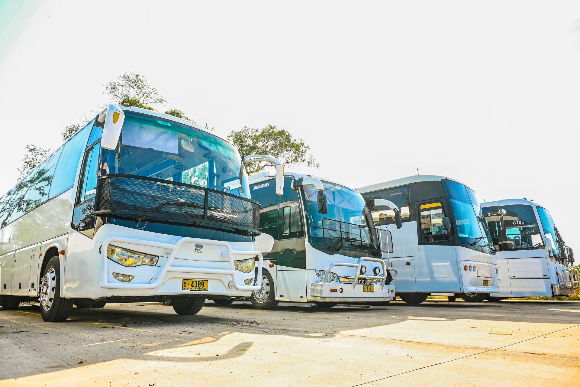 A Bus Driving On A Highway - Charter Transport in Darwin, NT