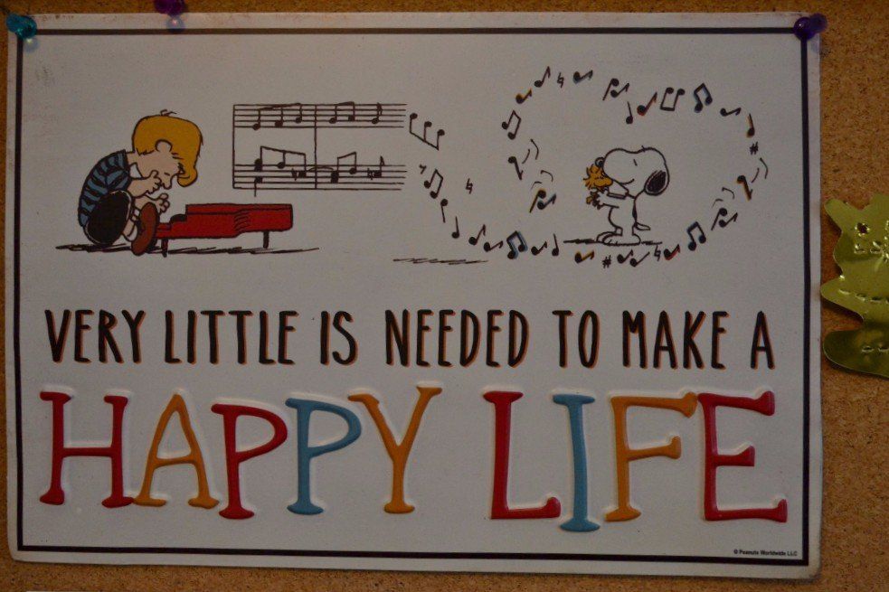 Piano Lessons Make a Happy Life