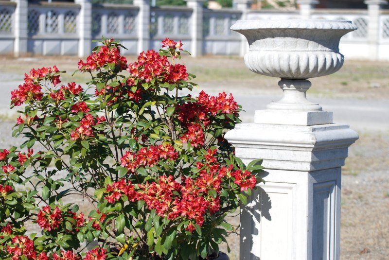 Vaso in cemento armato tipo Anna