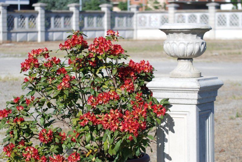 Vaso in cemento armato tipo Biscotto