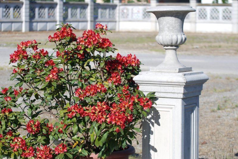 Vaso in cemento armato tipo Calice