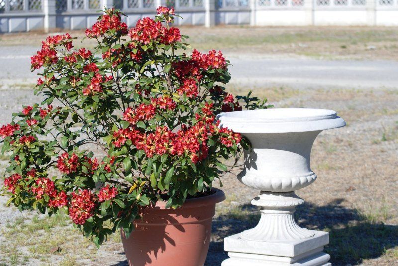 Vaso in cemento armato tipo Imperia