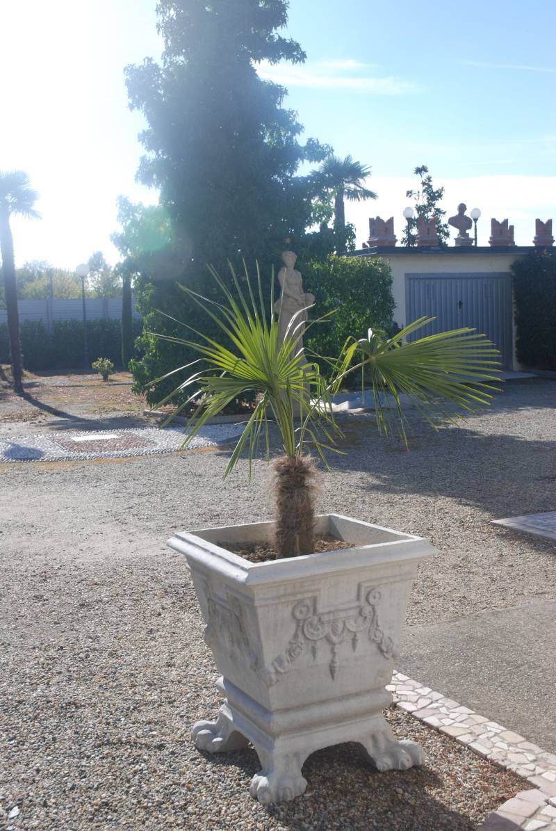 Vaso tipo impero in ca zona Vigevano