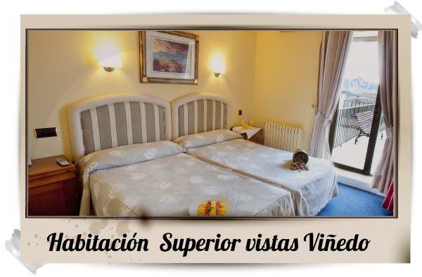 Una imagen de una habitación de hotel con las palabras habitación superior vistas viñedo.