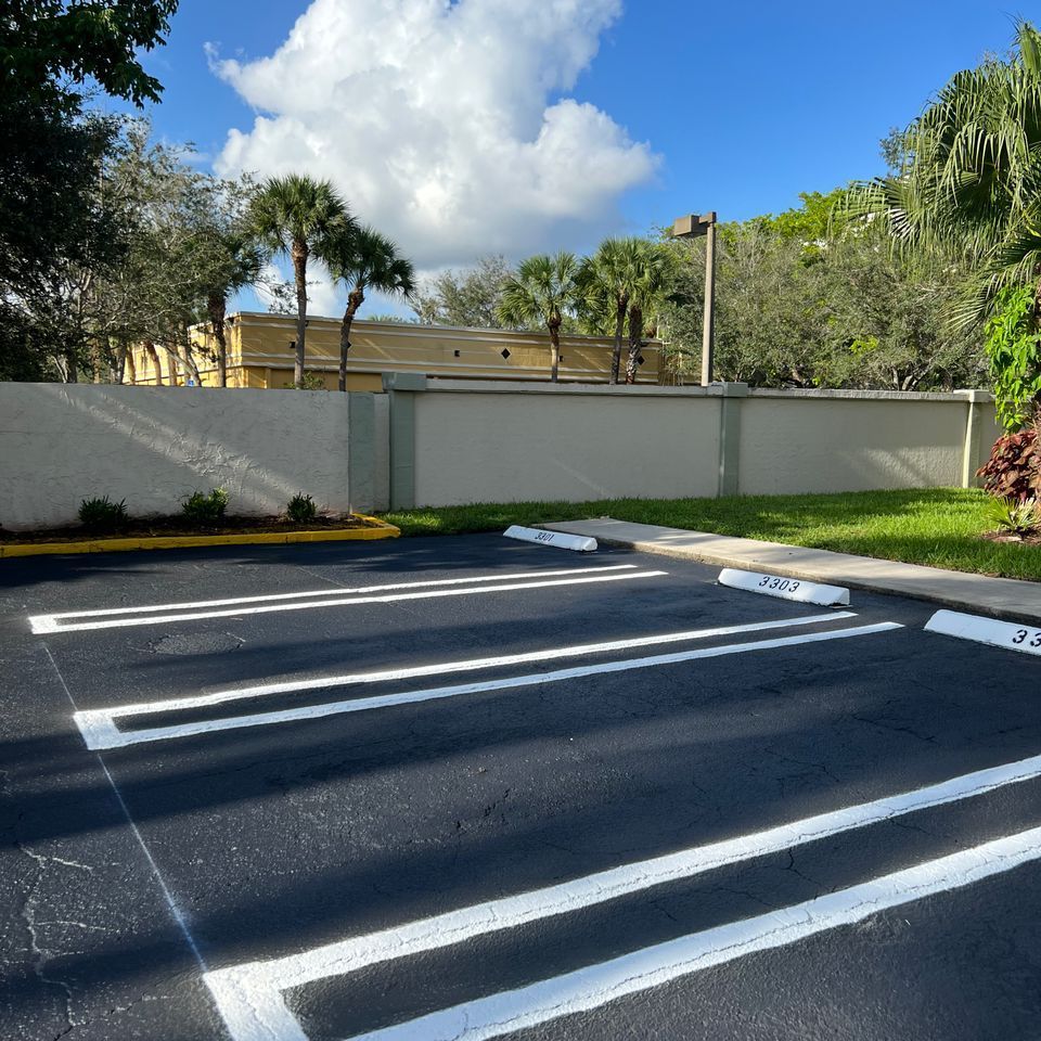 Parking lot with white lines, wall, palm trees, blue sky.