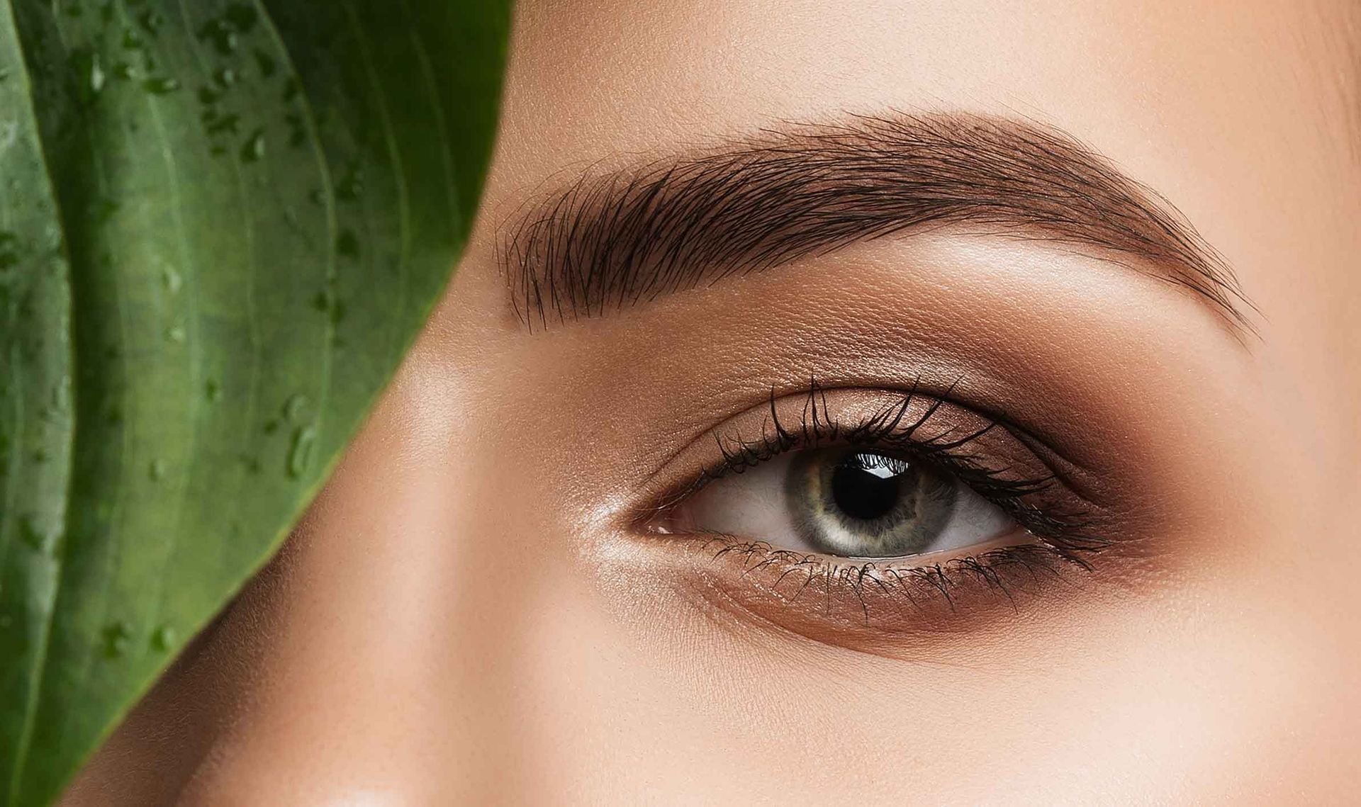 A Close Up Of An Eye Of A Woman Behind A Green Leaf – Terrigal, NSW - Anjule Beauty Therapy