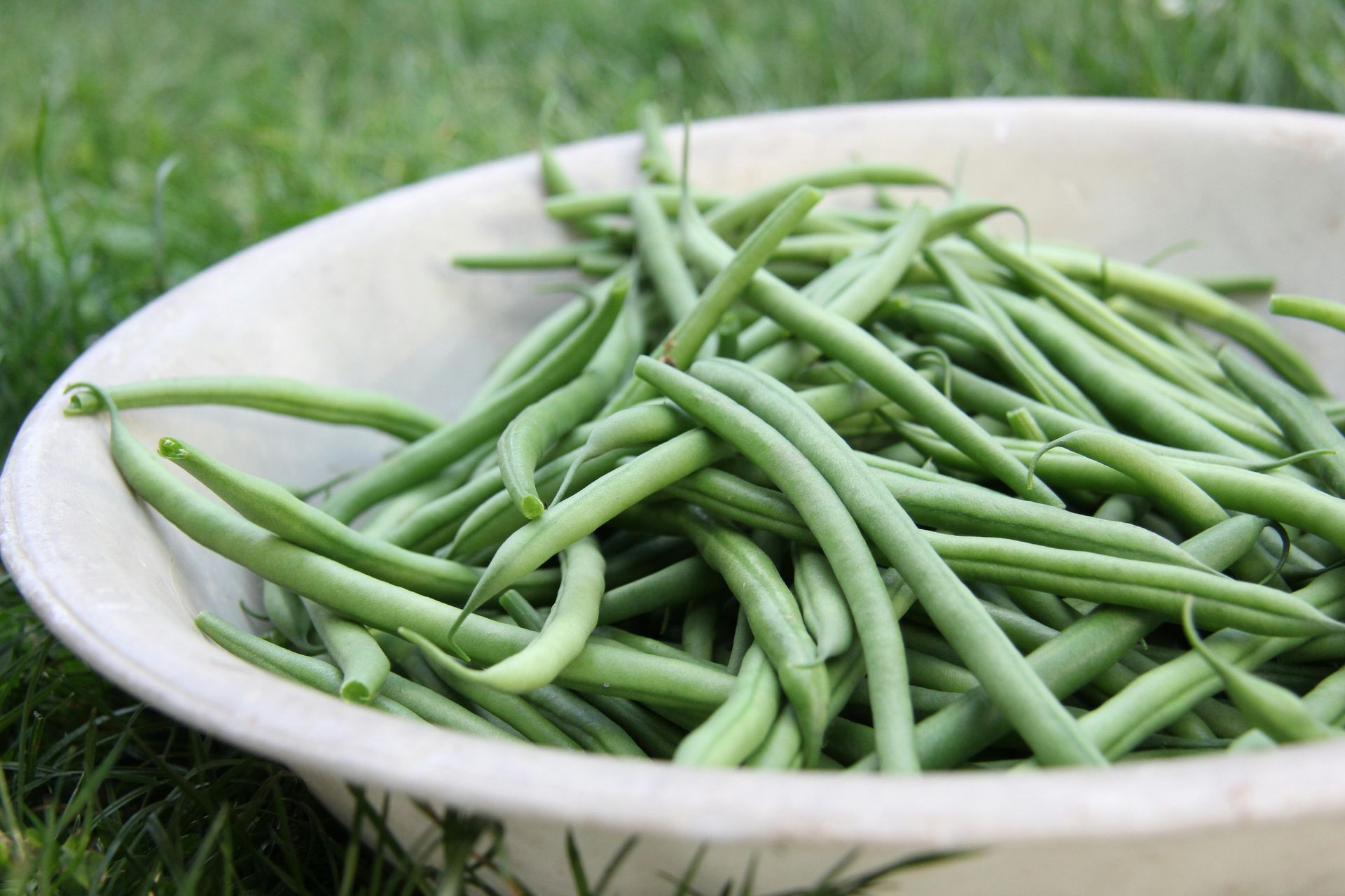 String Beans