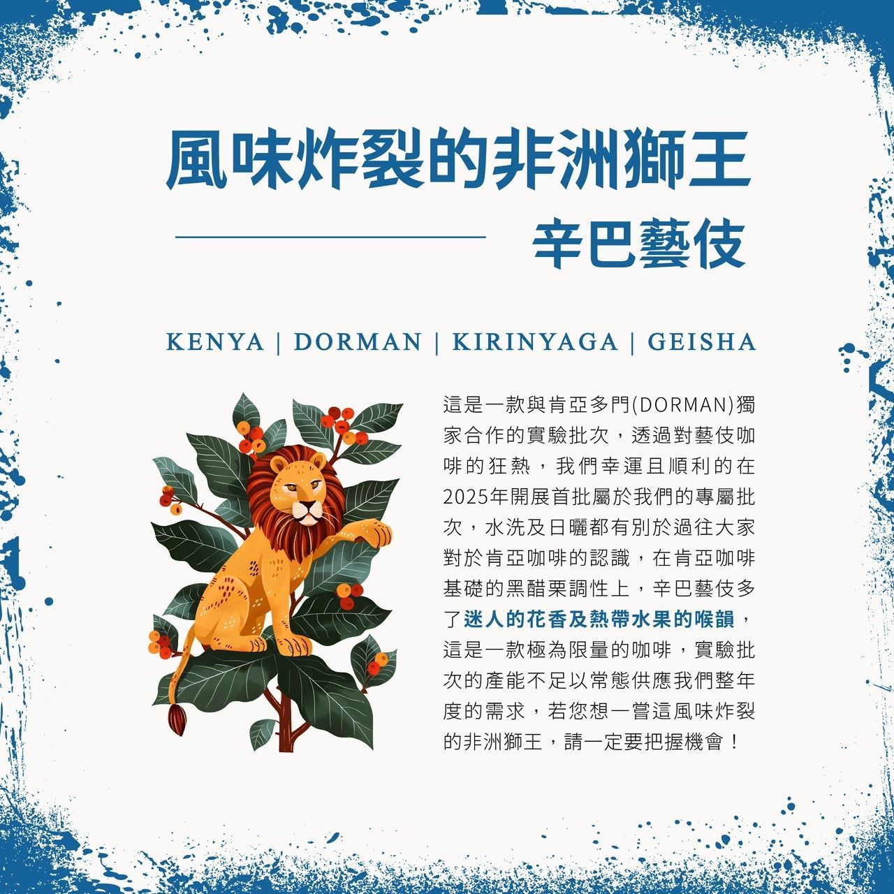 藝伎咖啡三重奏|霈楓咖啡風味鉅獻 27 包年節禮盒(數量有限)