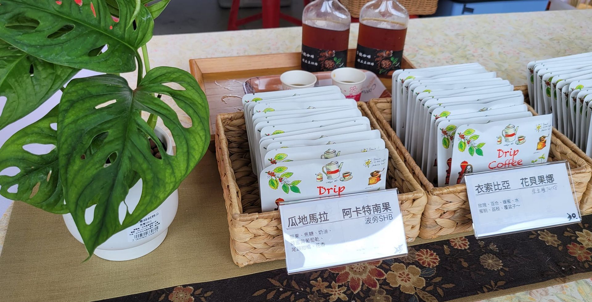 一株植物放在桌上，旁邊是一籃種子。