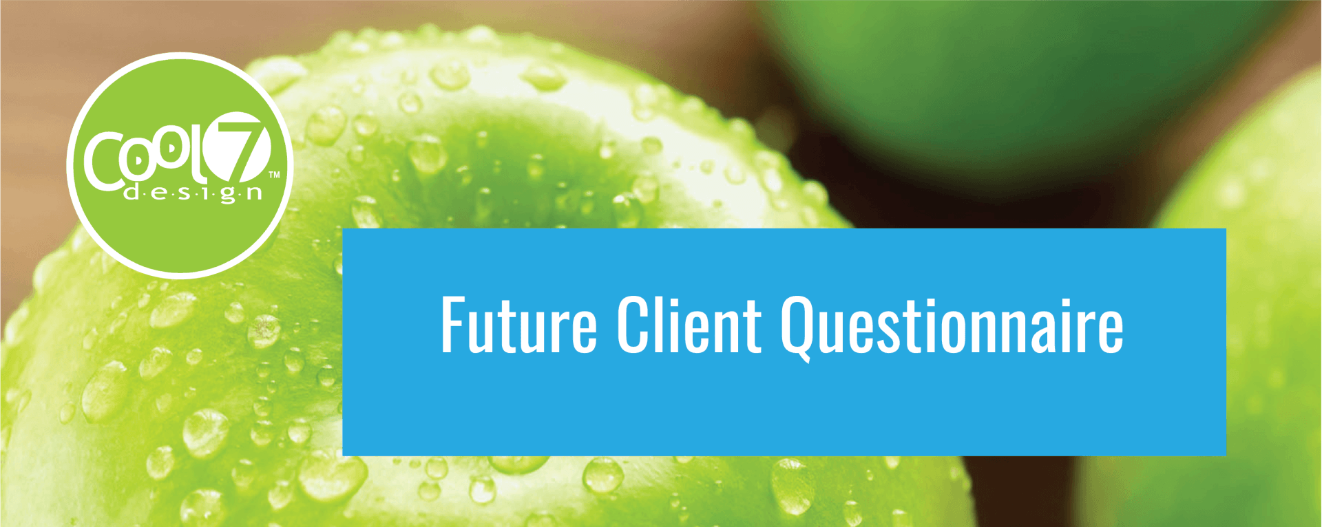 Future Client Questionnaire photo