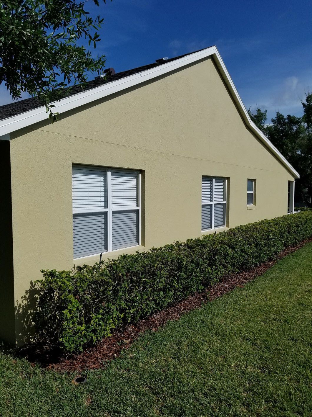 Tan house with white trim, windows, and green bushes along the side