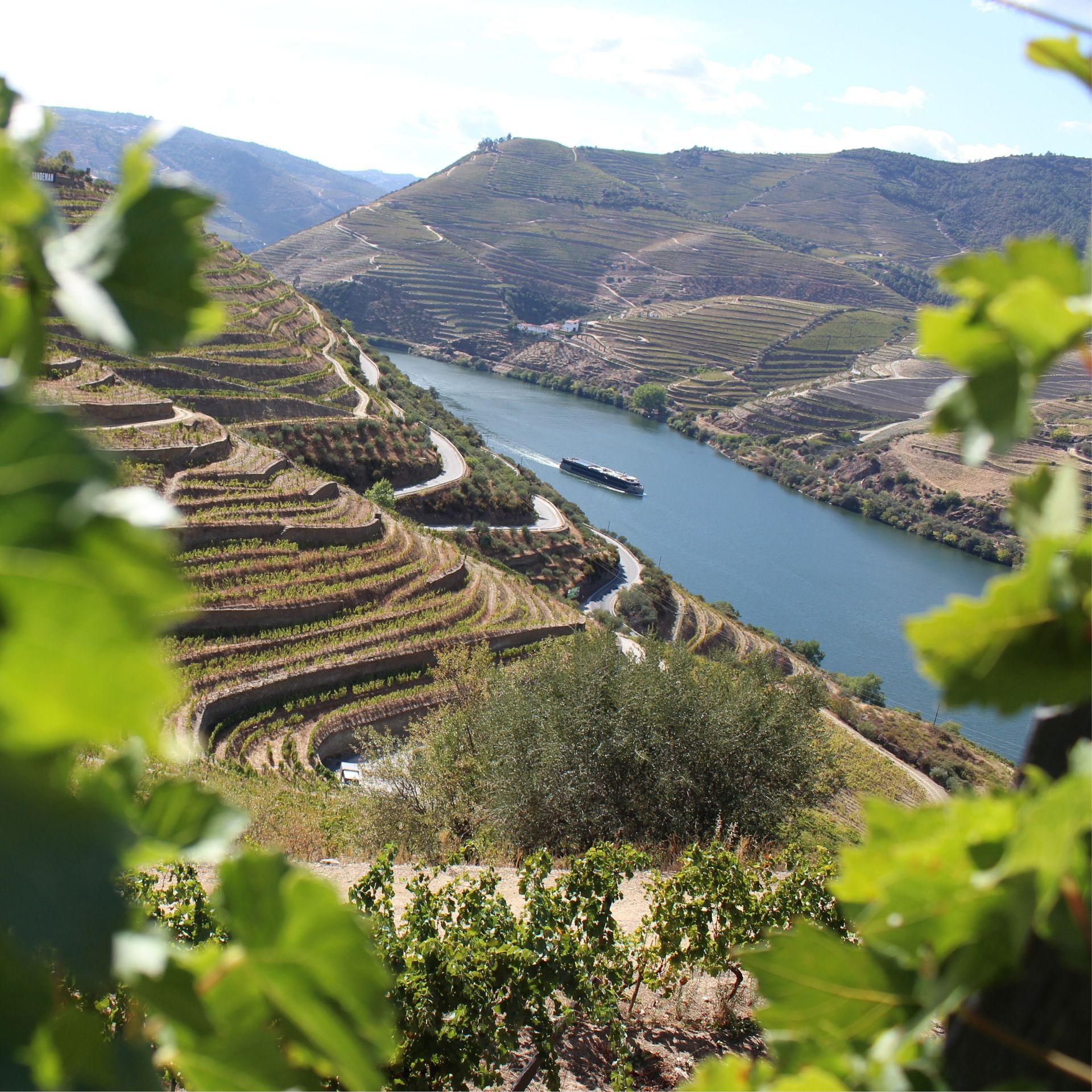 Douro Valley Private Tour with Local Guide