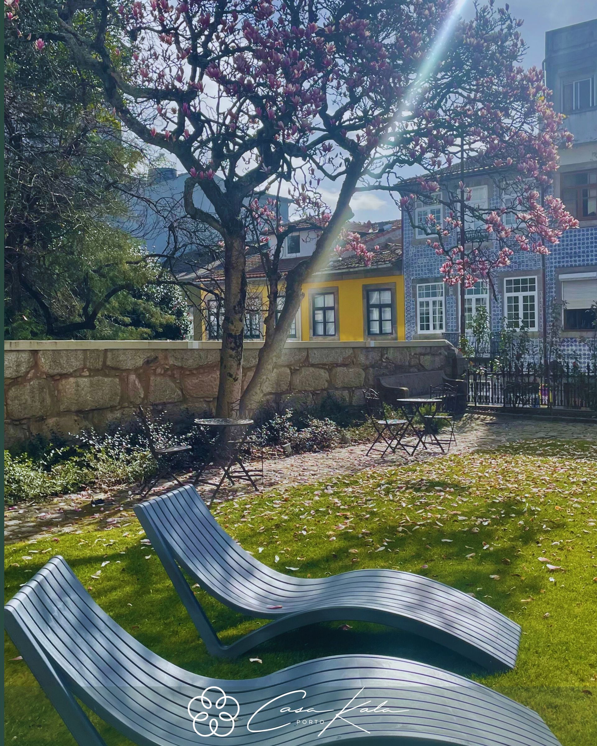 Oasis in the city, Porto