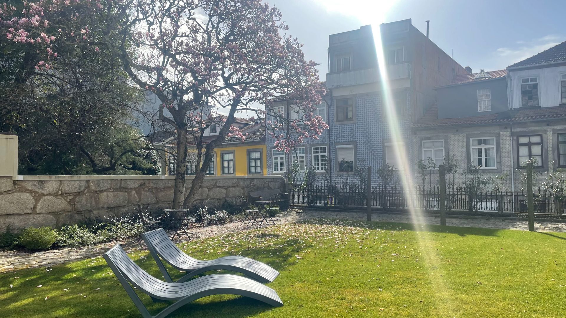 Sunshine in the Garden