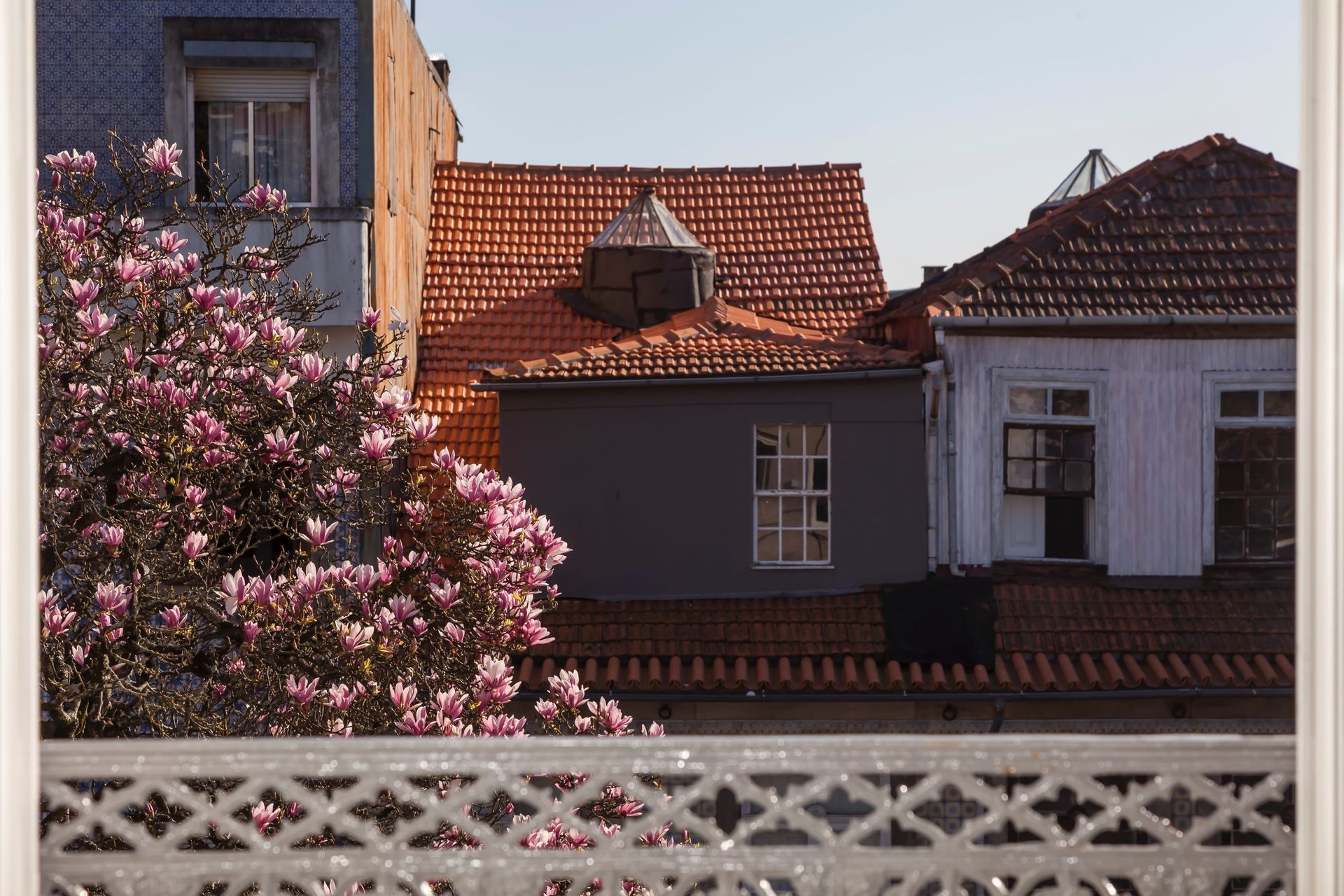 Magnolia tree and tiled rooftops seen from Casa Kala in Porto