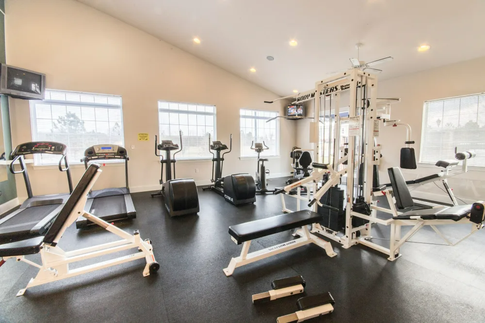 There are many different types of exercise equipment in this gym.