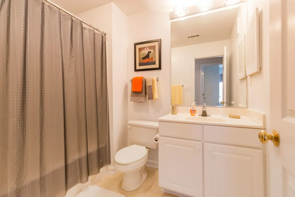 A bathroom with a toilet, sink, mirror, and shower curtain.