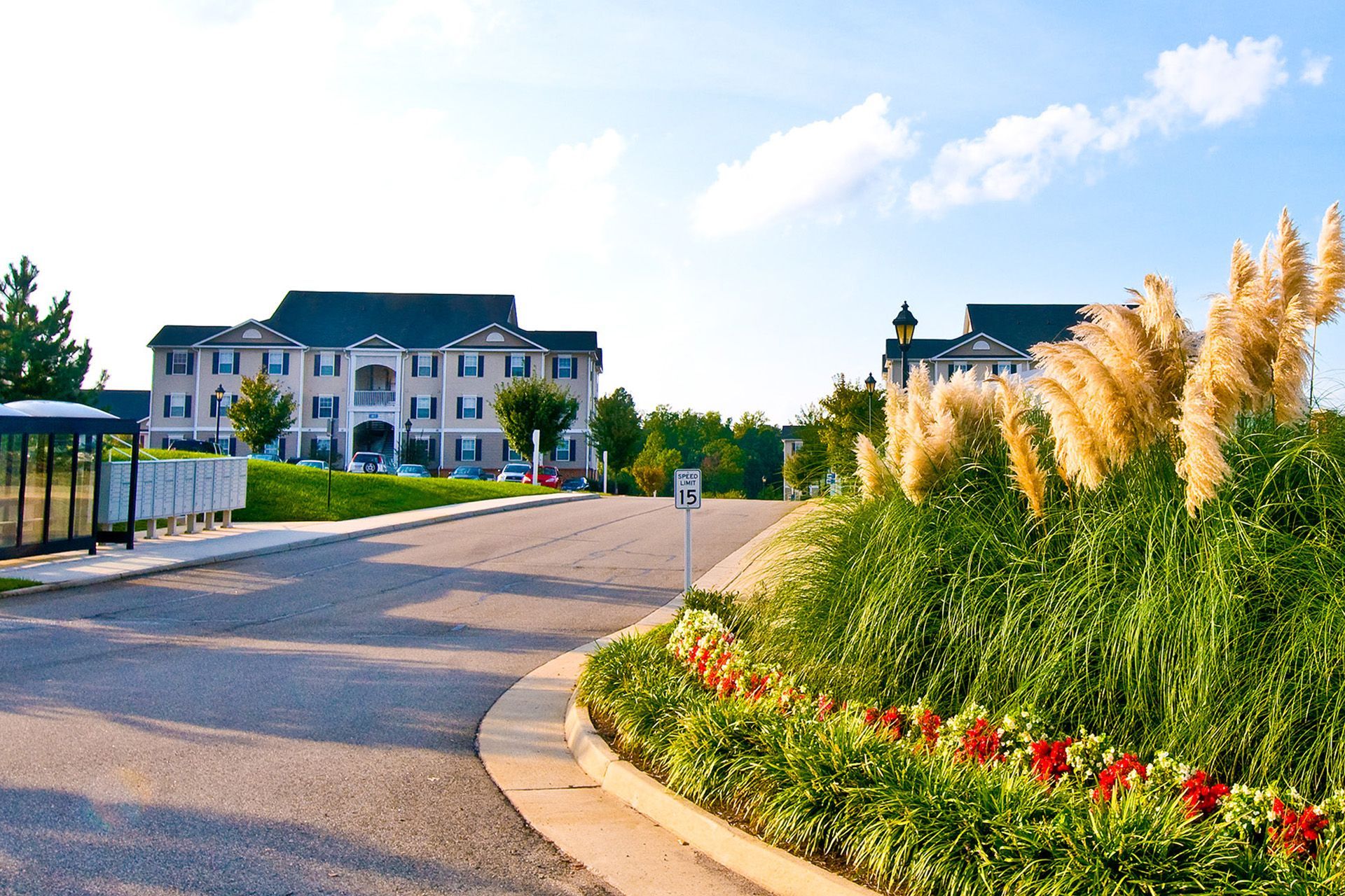 A street with flowers on the side of it and a building in the background.