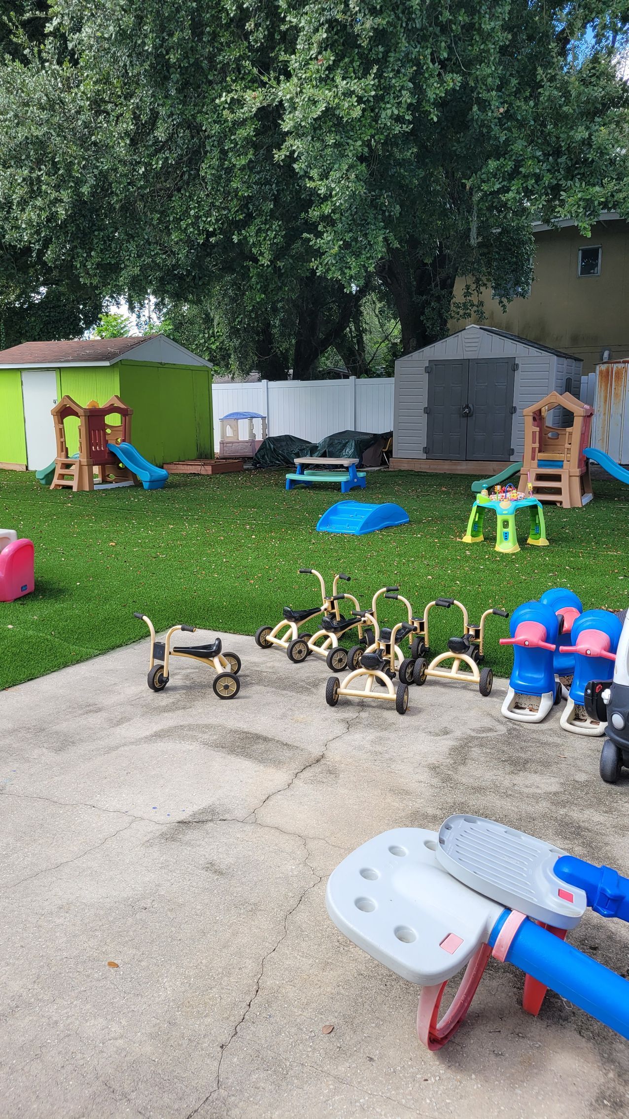 There are a lot of toys in the backyard.