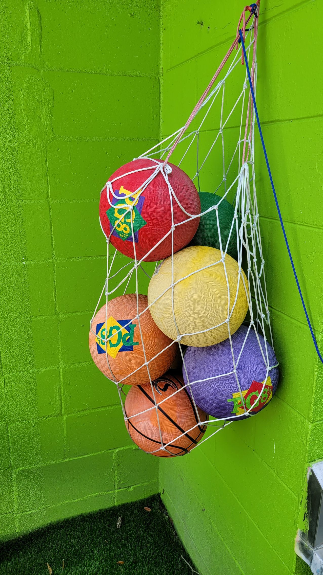 A bunch of balls are hanging in a net on a green wall.
