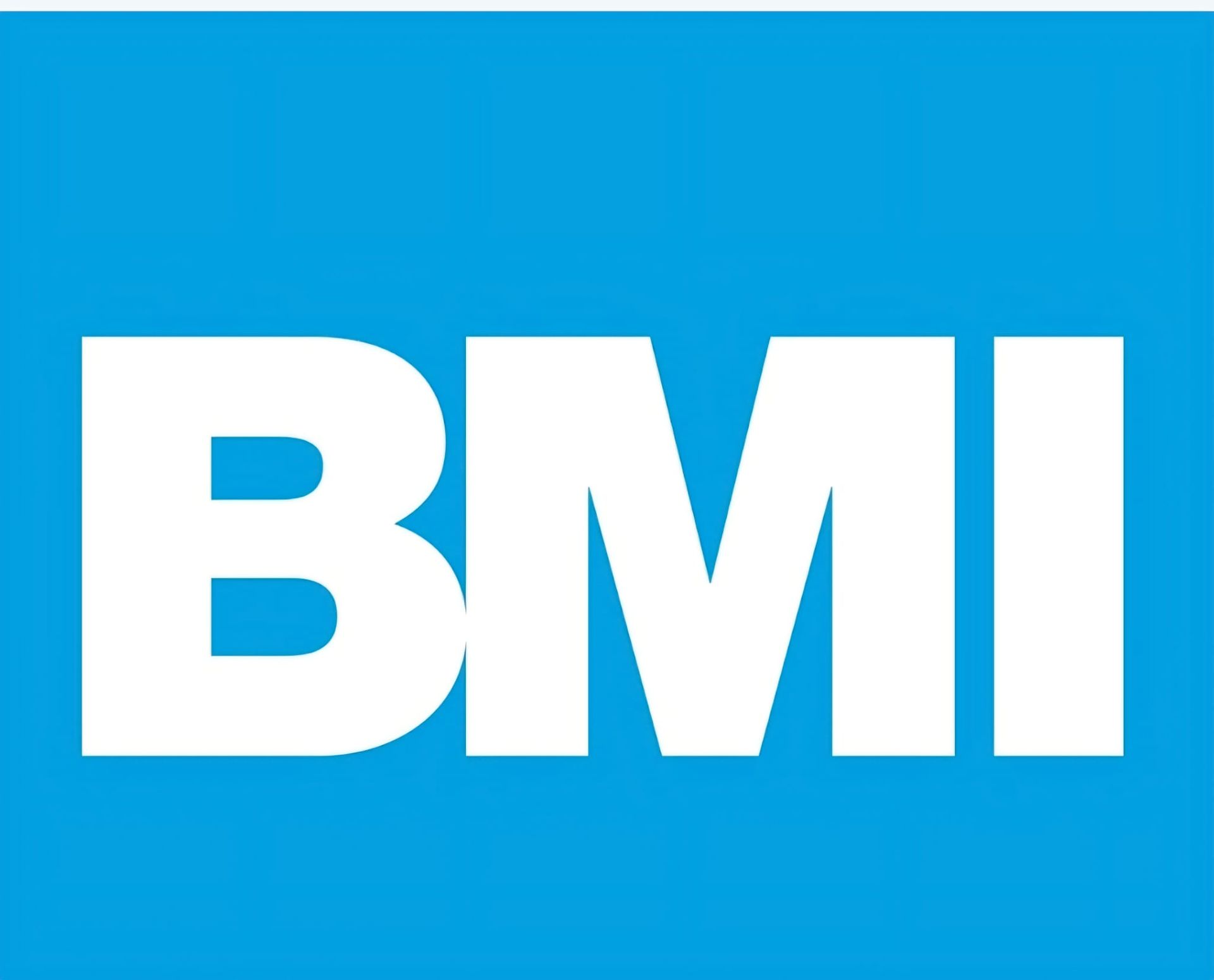 Logo BMI: lettere 