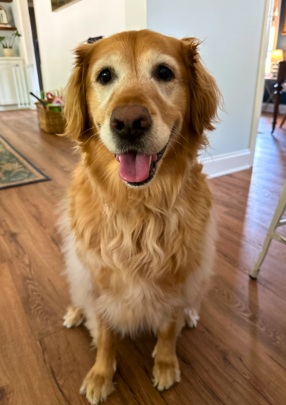 Daisy – Chief of Morale at Talley Financial