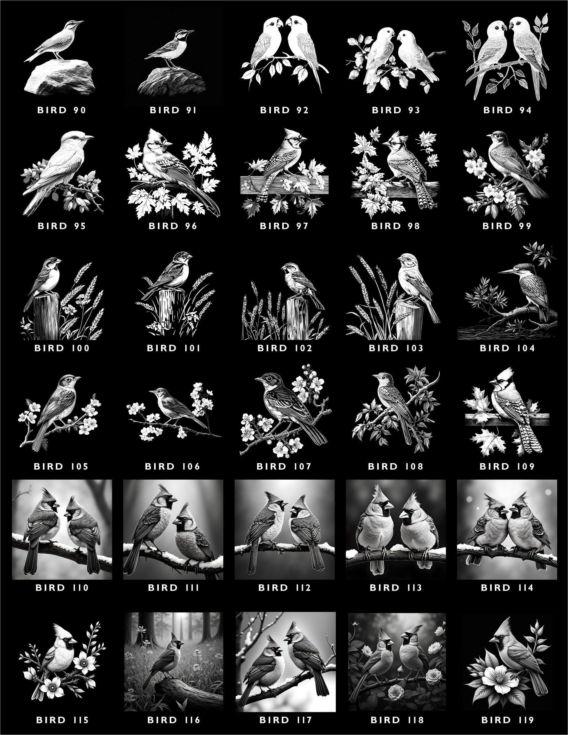 A grid of 30 black and white bird illustrations, organized in six rows and five columns, labeled individually as BIRD 01-30.
