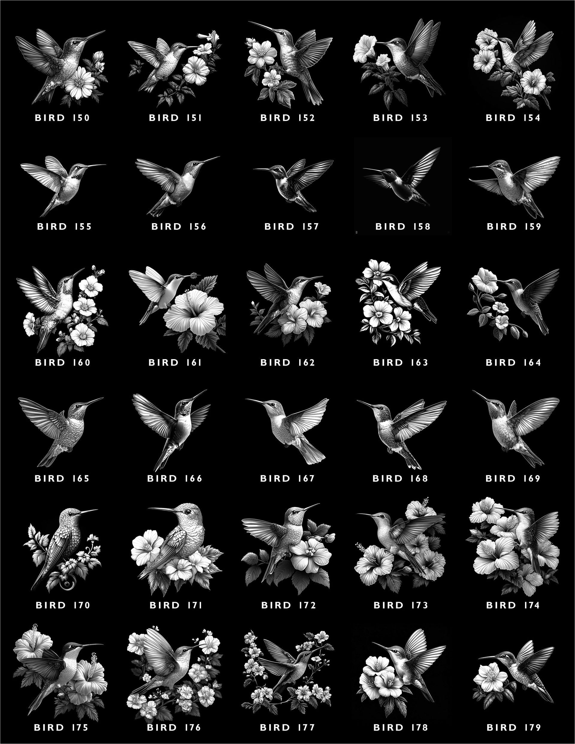 A grid of 30 black-and-white illustrations of hummingbirds and flowers, each labeled with a small code.