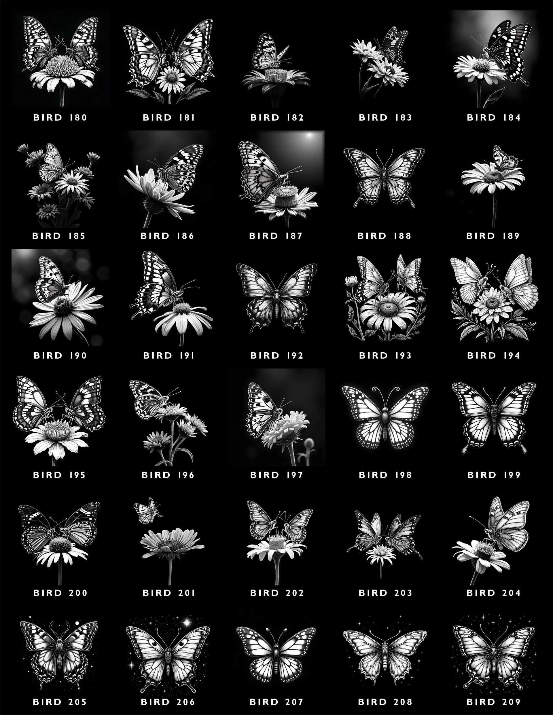 A grid of 30 monochrome illustrations featuring various butterfly and flower designs, each labeled with a code.