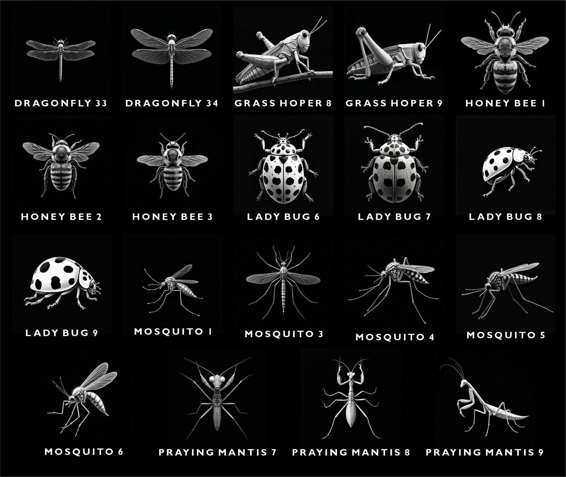 Grid of various insect illustrations with labels, including dragonflies, grasshoppers, honey bees, ladybugs, and mosquitoes.