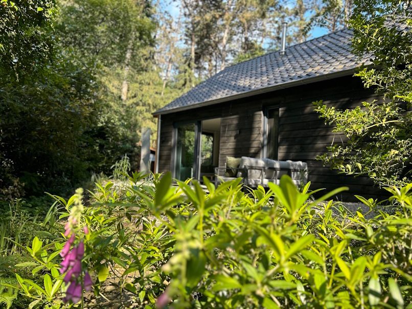 Vakantiewoning boshuisje de leeuwerik Holten Overijssel