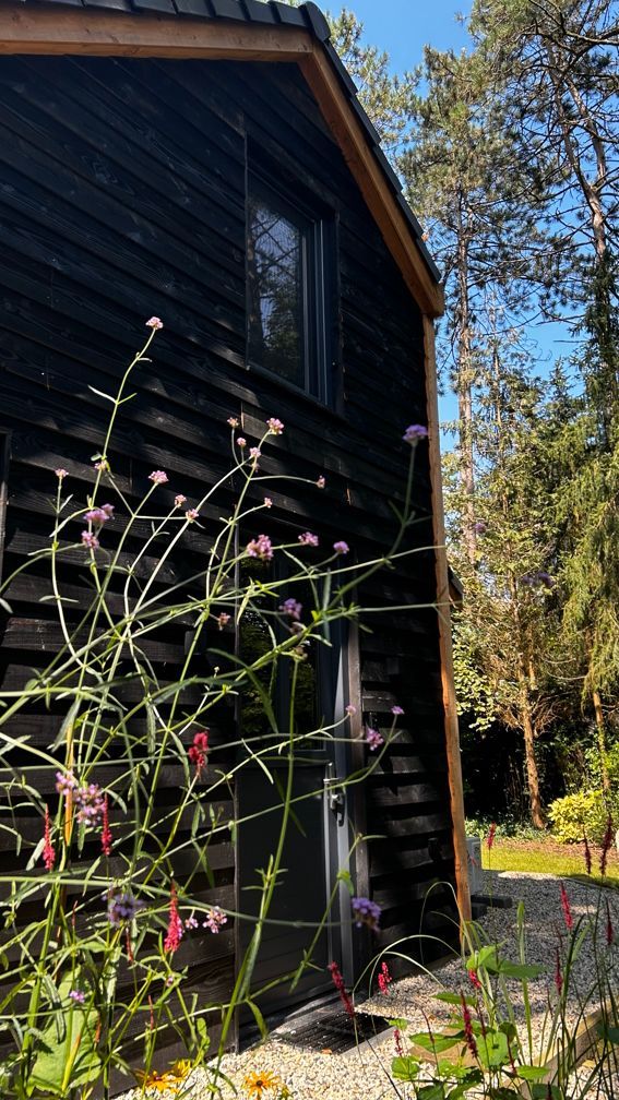 Voorkant vakantiewoning Boshuisje de Leeuwerik