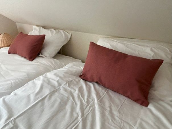 Vakantiewoning boshuisje de leeuwerik Holten Overijssel