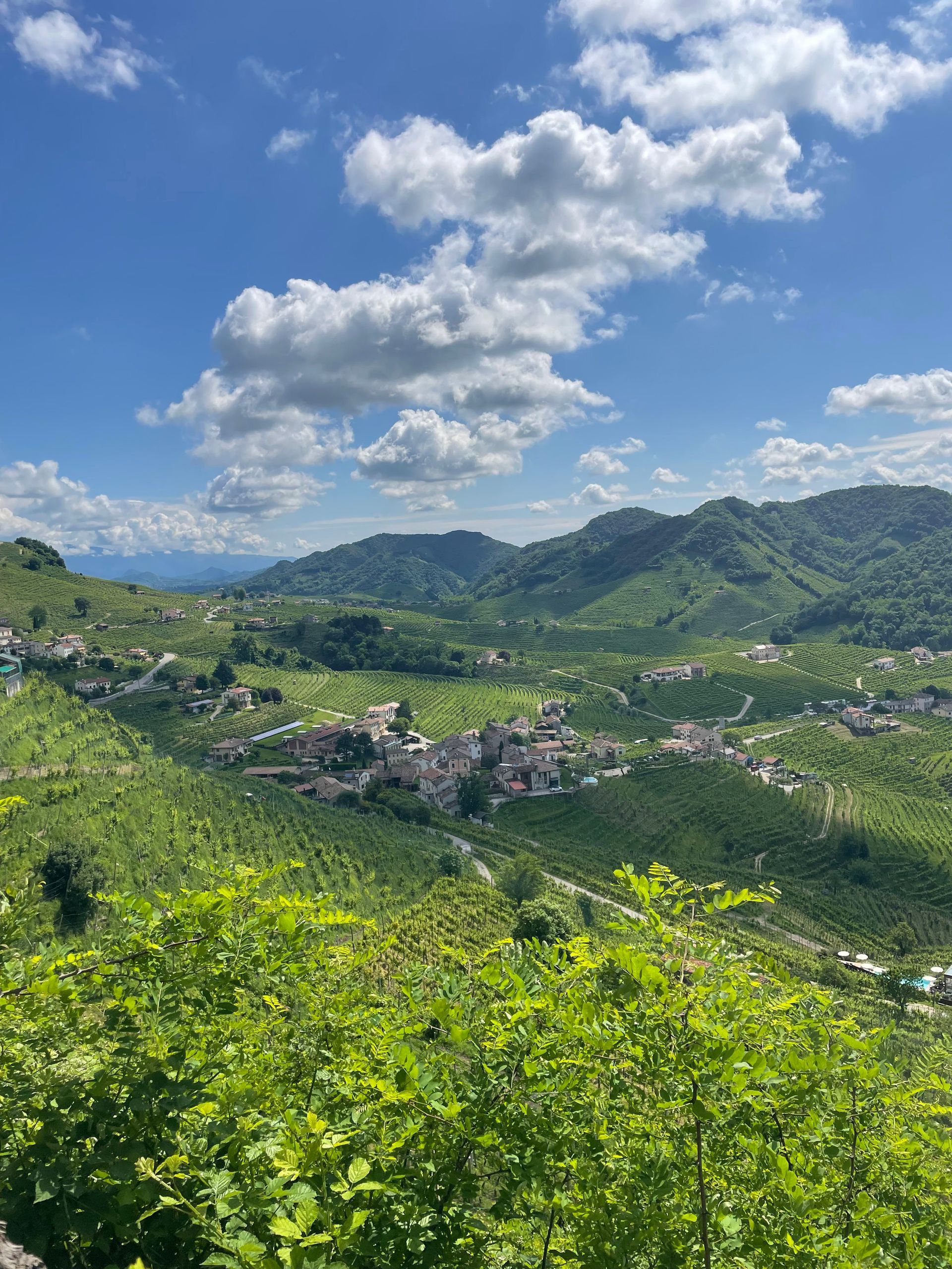 Green hills dotted with trees under a blue sky with fluffy white clouds. A small village sits in the valley below.