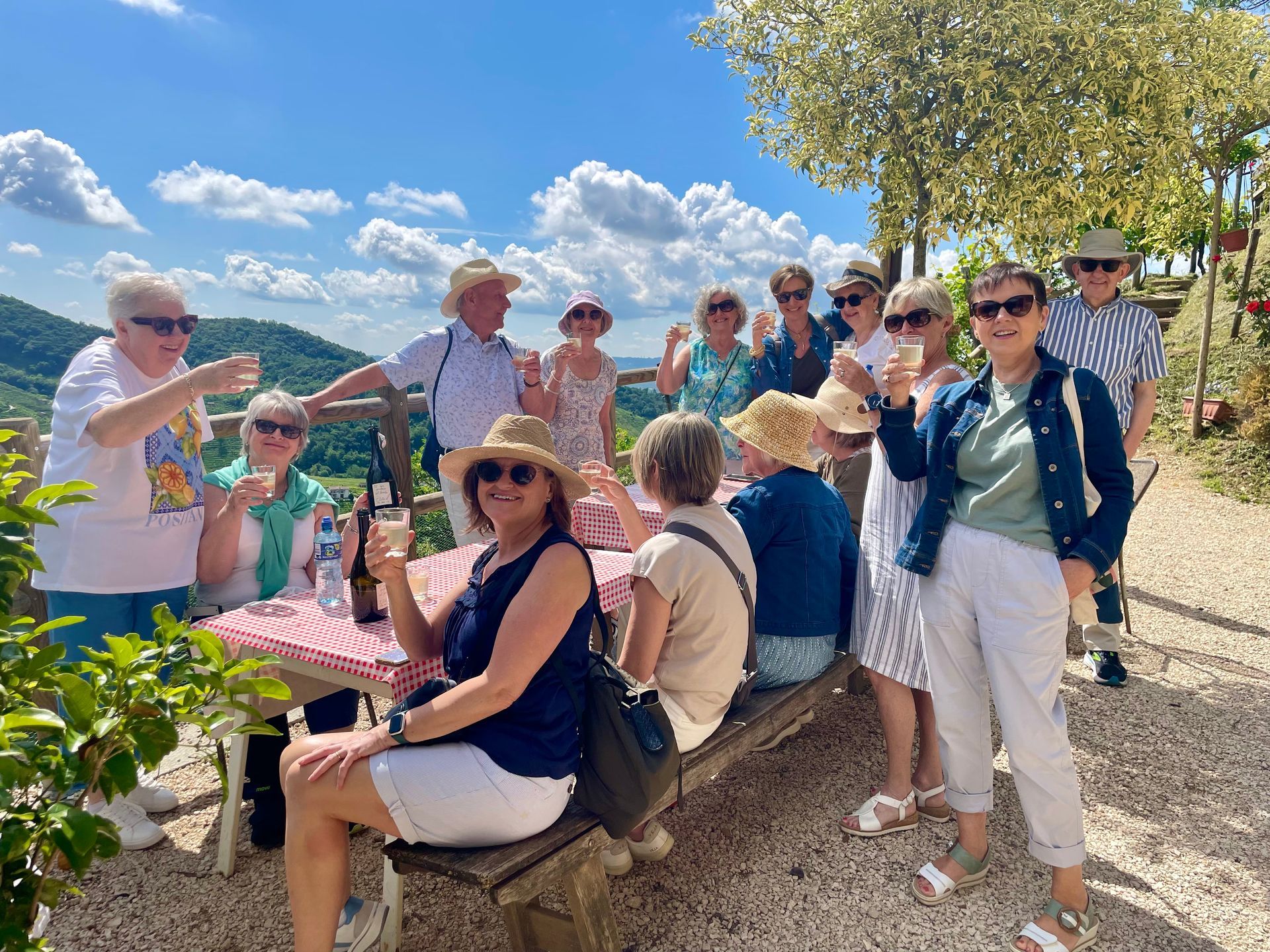 Group of people toasting with glasses of champagne outdoors at a picnic table overlooking a scenic landscape.