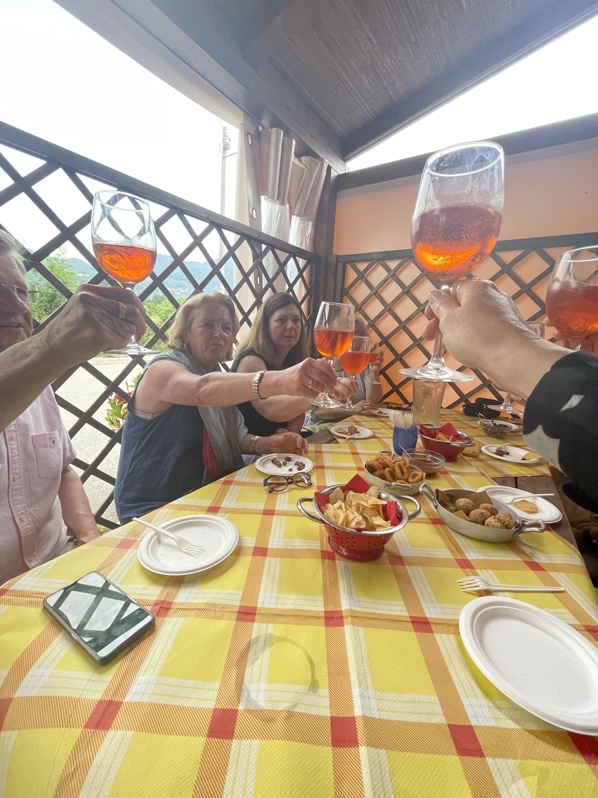 A group of people are sitting at a table toasting with wine glasses.