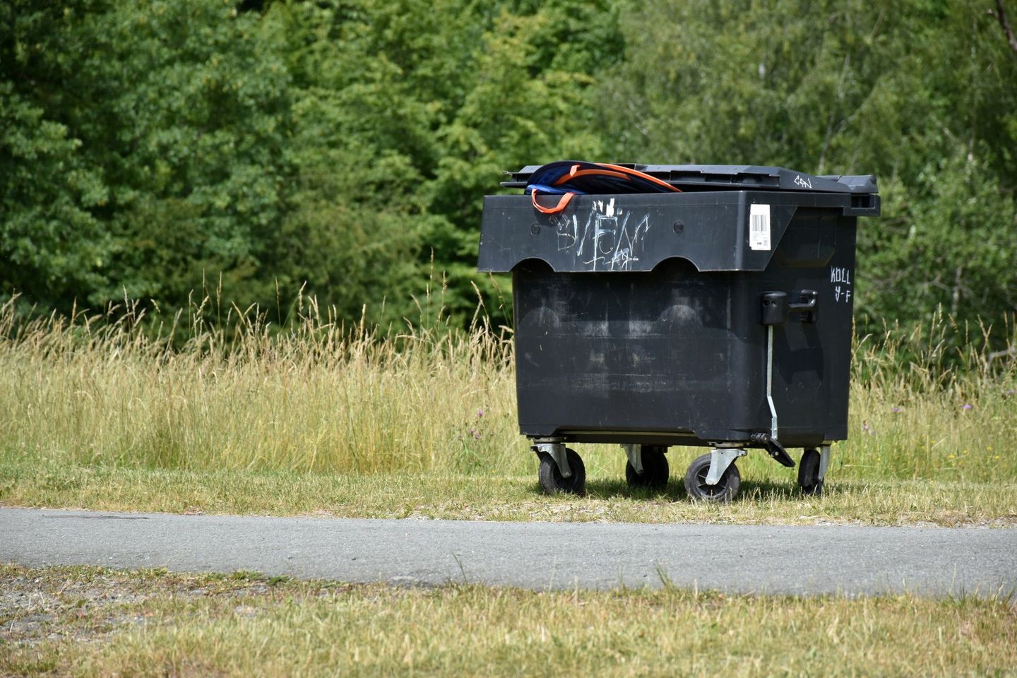 A dumpster full of trash bags sitting alone on the side of a road near a grassy field