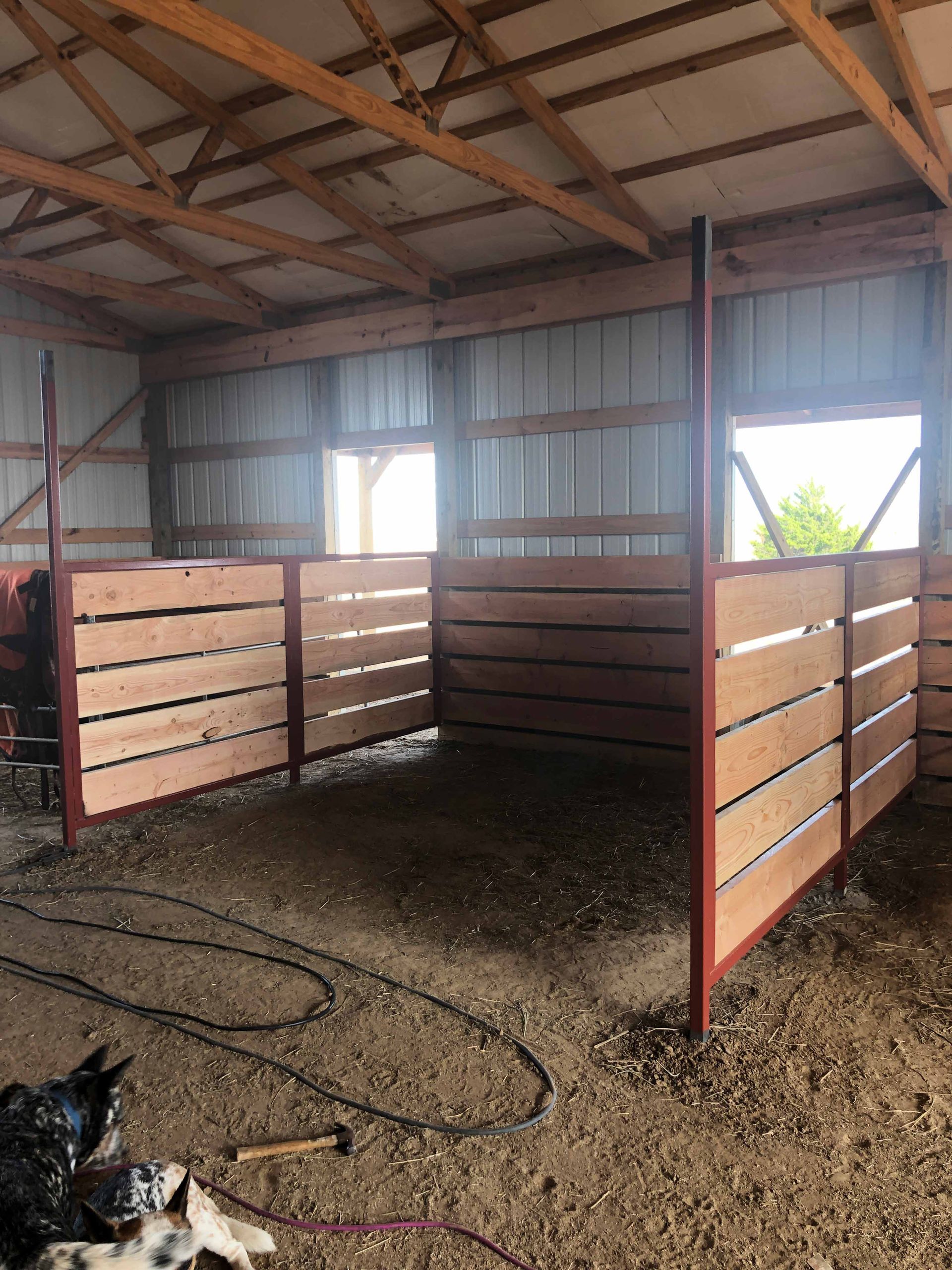 Empty livestock barn with wooden stall partitions, corrugated roof, and dirt floor with a hose