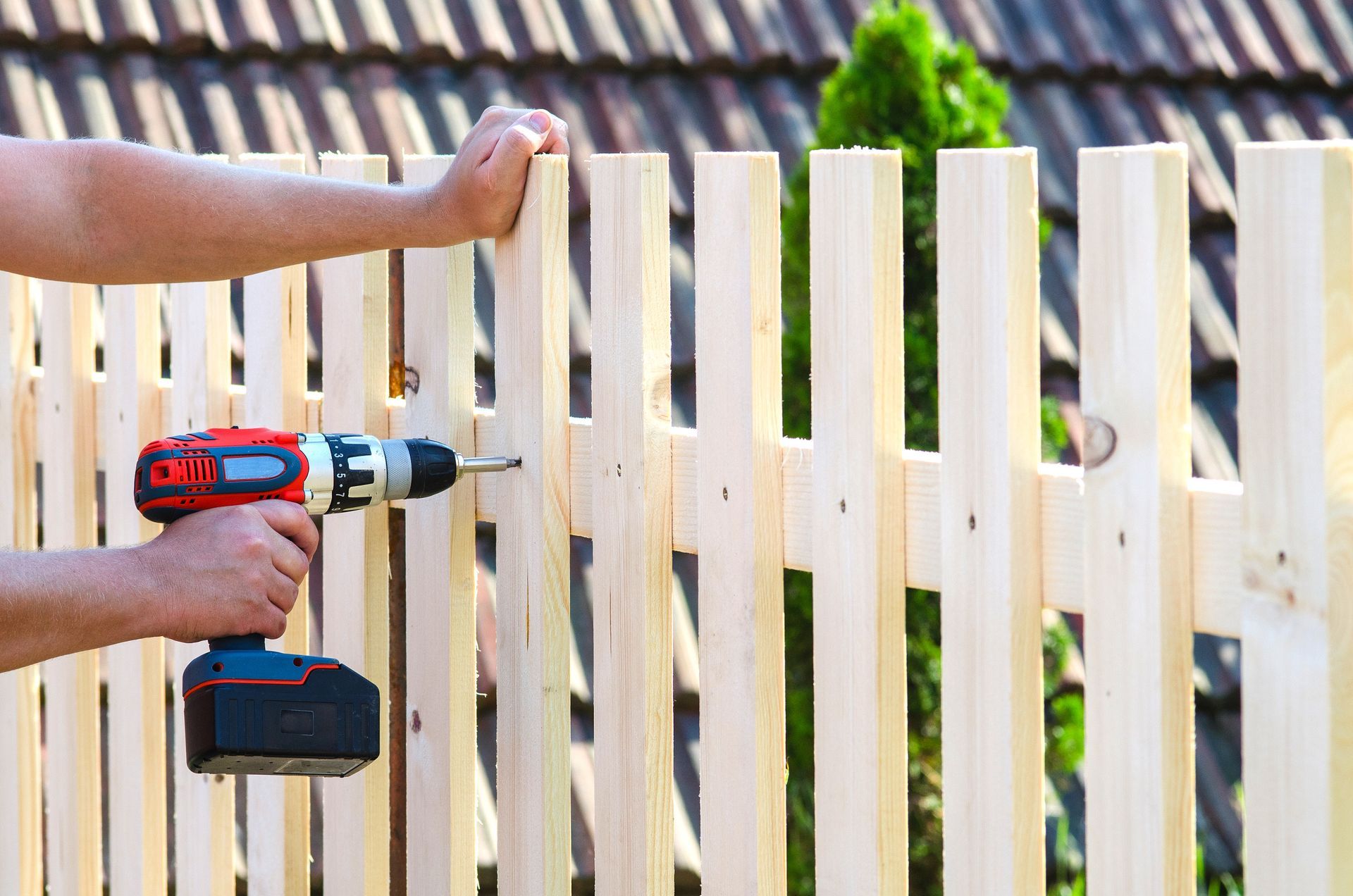 A person uses a power drill to attach a light-colored wooden picket to a backyard fence. A person uses a power drill to attach a light-colored wooden picket to a backyard fence.