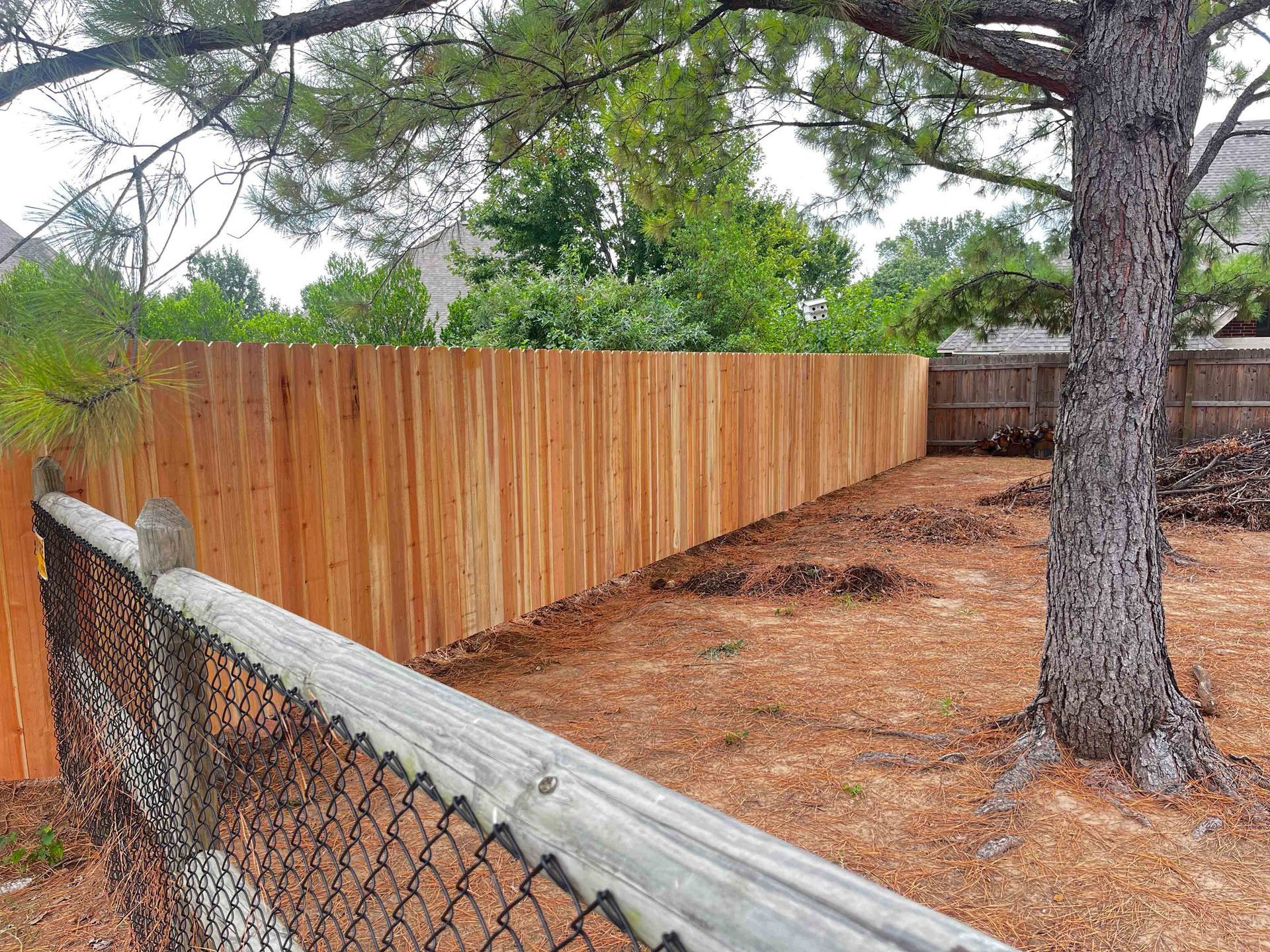 Wooden privacy fence beside a chain-link fence in a wooded yard with pine trees and mulch