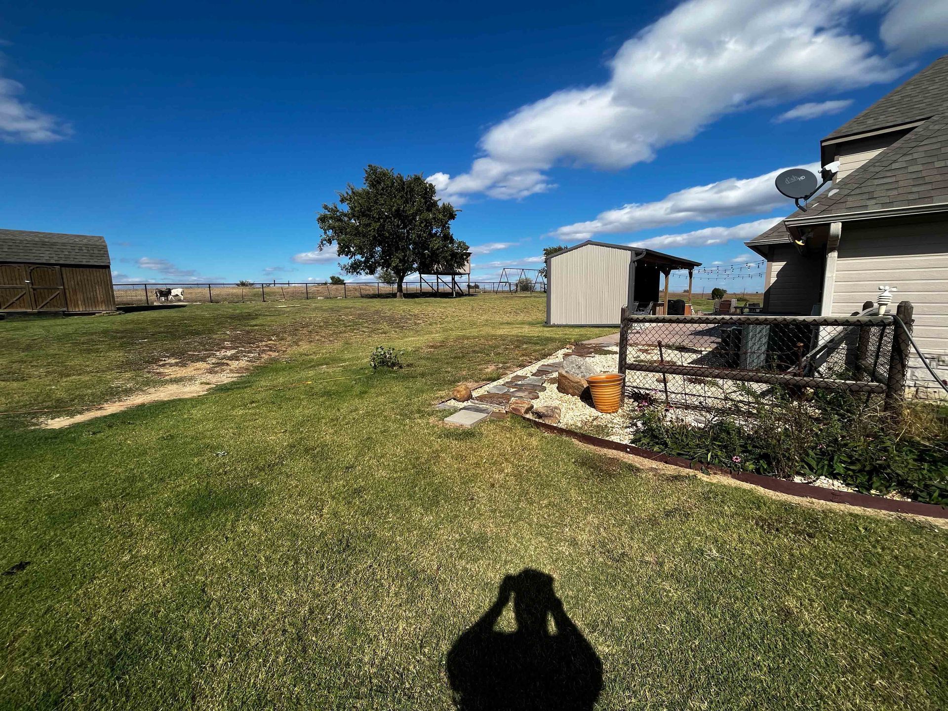Rural yard with green grass, tree, small shed, house, and blue sky with clouds