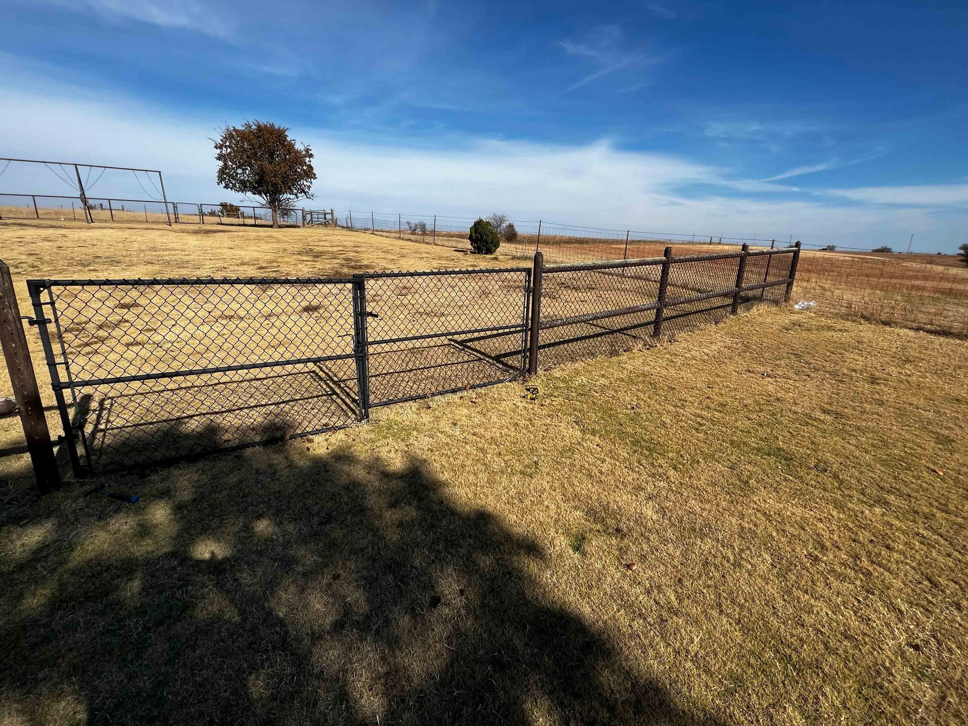 Rural field with a black metal fence under a blue sky and a lone tree in the distance