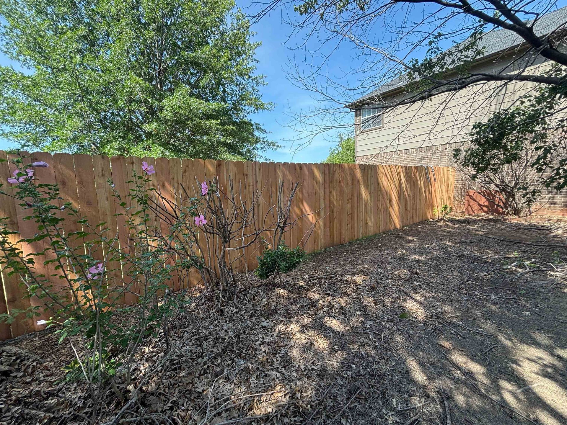 Backyard with wooden fence, leaf-covered ground, and a tree under a blue sky